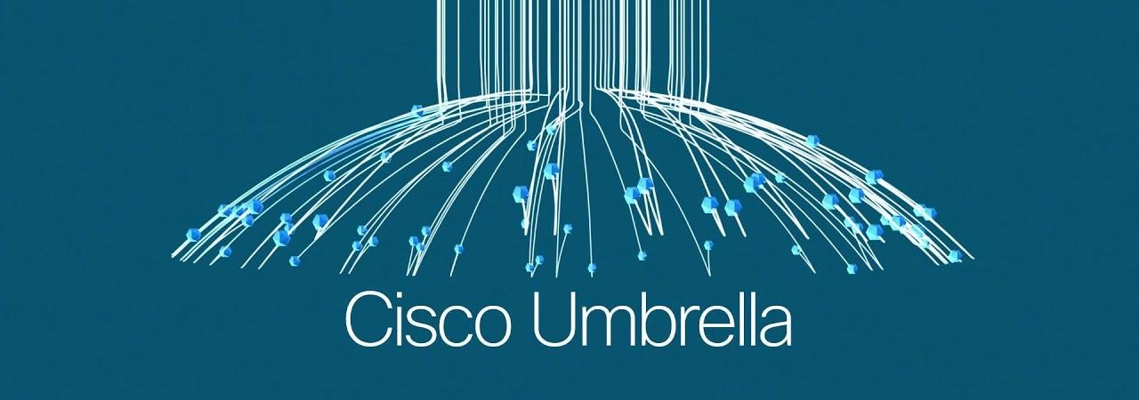 Баннер Cisco Umbrella